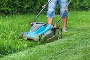 Senior Care in Highland Park IL: Tips to Help Dad Spring Clean his Yard