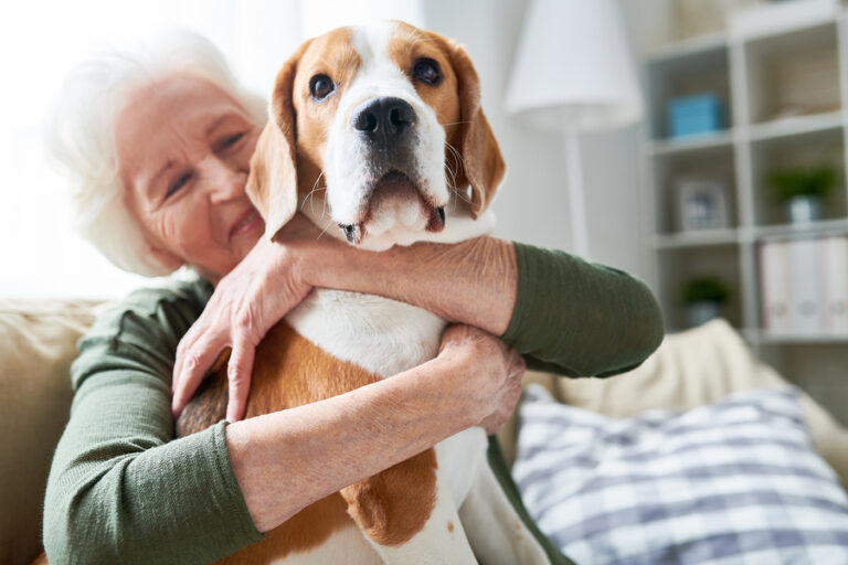 what-do-service-animals-do-for-seniors-companion-services-of-america